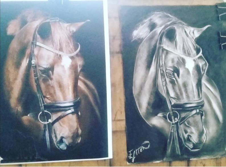 Hand drawn horse portrait